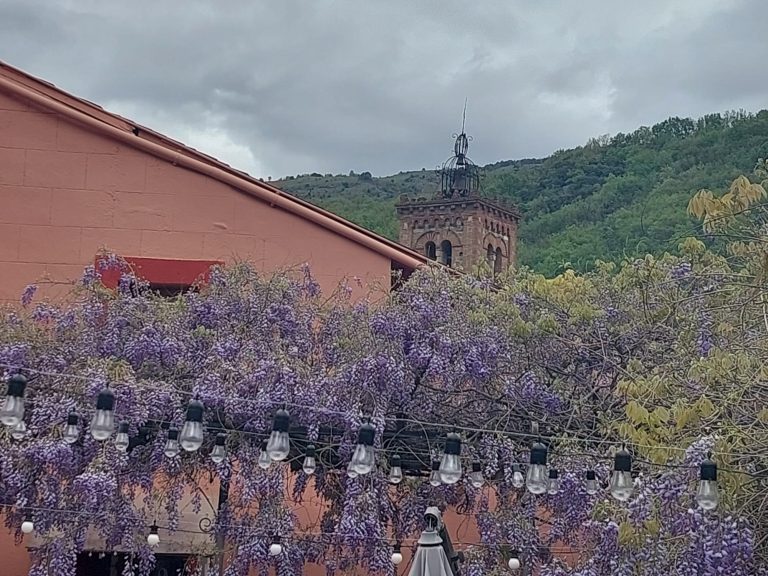 Welcome img 20260329 wa0015