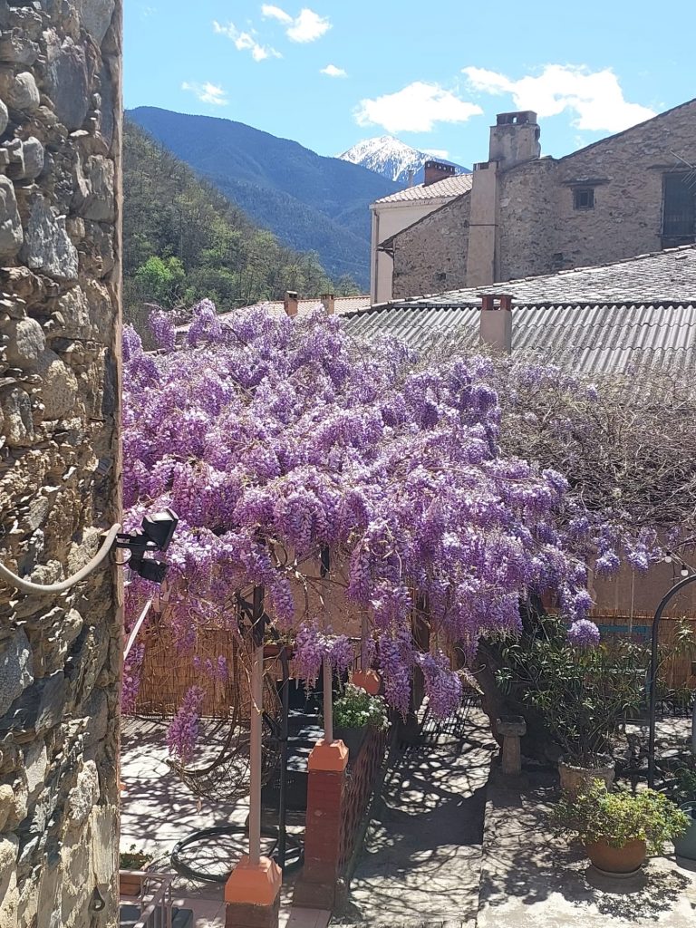 Welcome img 20260329 wa0022